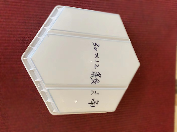 實(shí)心護(hù)坡磚模具